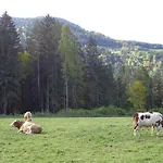 Monika Unterluggauer Farm stay *
