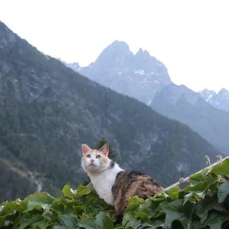 Monika Unterluggauer *