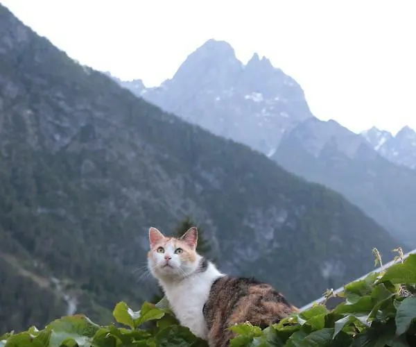 Monika Unterluggauer *